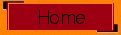 bt_home.gif (2872 Byte)